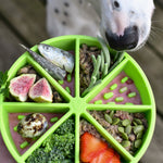 Tapis de léchage vert lime Dogs Crush, enrichissement alimentaire aux agrumes pour chiens gourmands