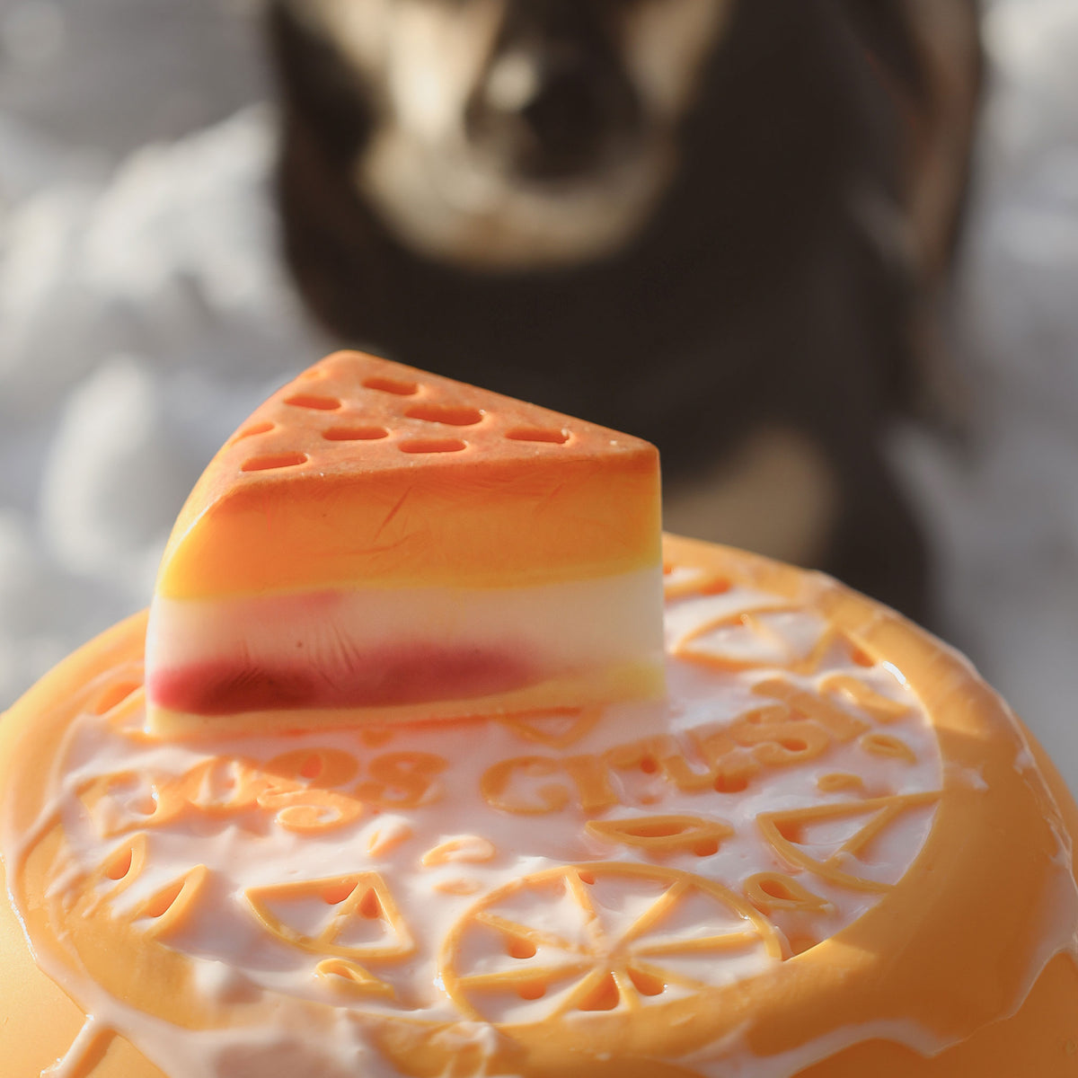 Bol interactif ralentisseur et tapis de léchage Dogs Crush orange pour chiens gourmands