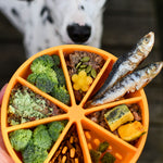 Tapis de léchage texturé et bol interactif Dogs Crush orange, enrichissement aux agrumes