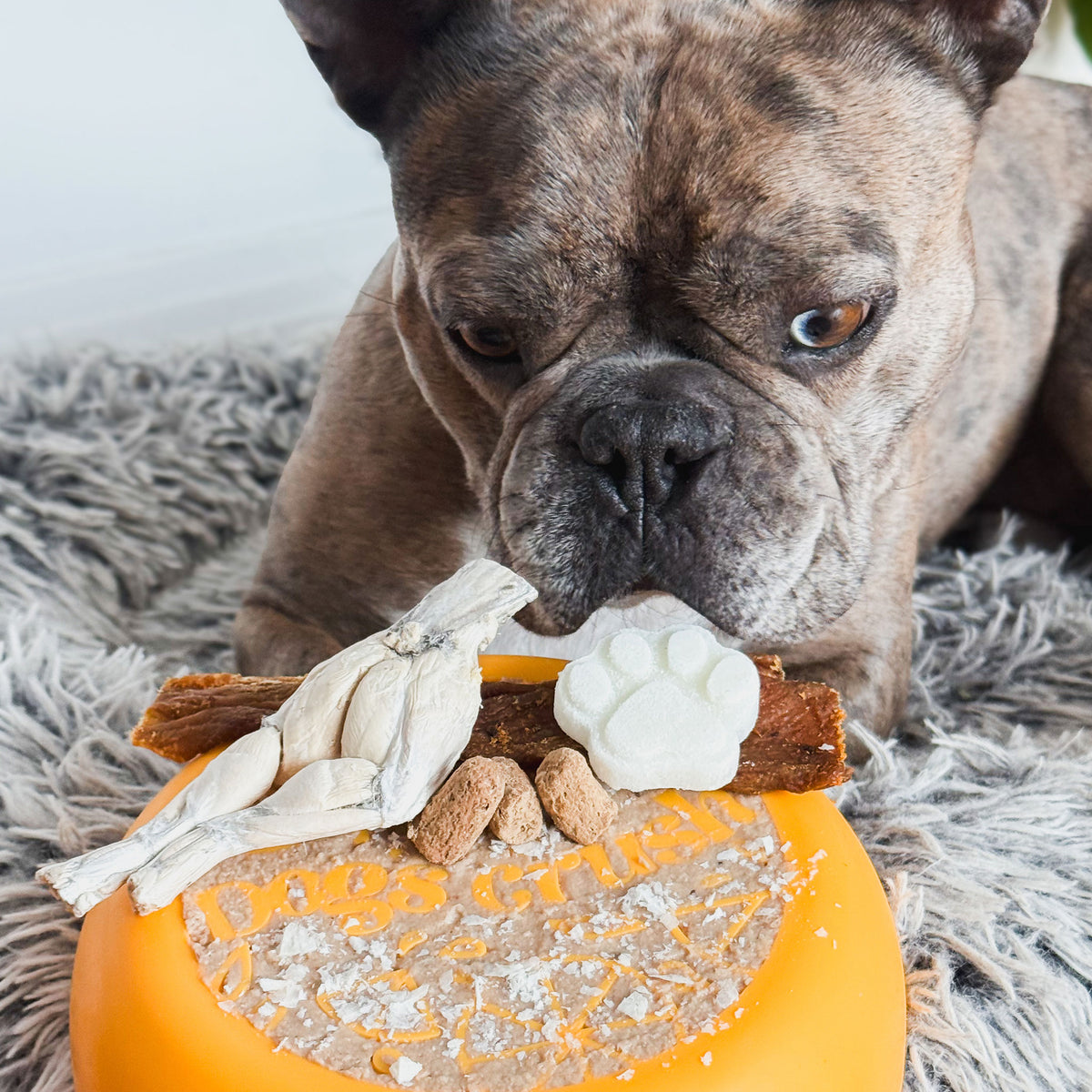 Bol Dogs Crush agrume orange : tapis de léchage apaisant et bol interactif pour chiens