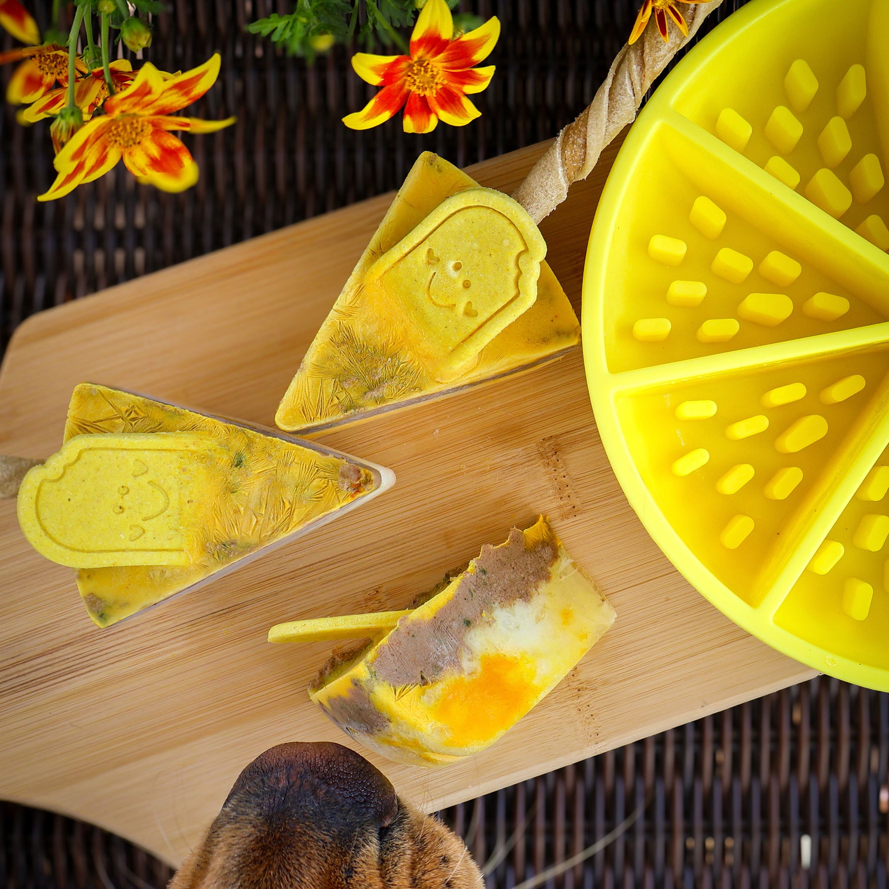 Dog lickmat agrume jaune – citron