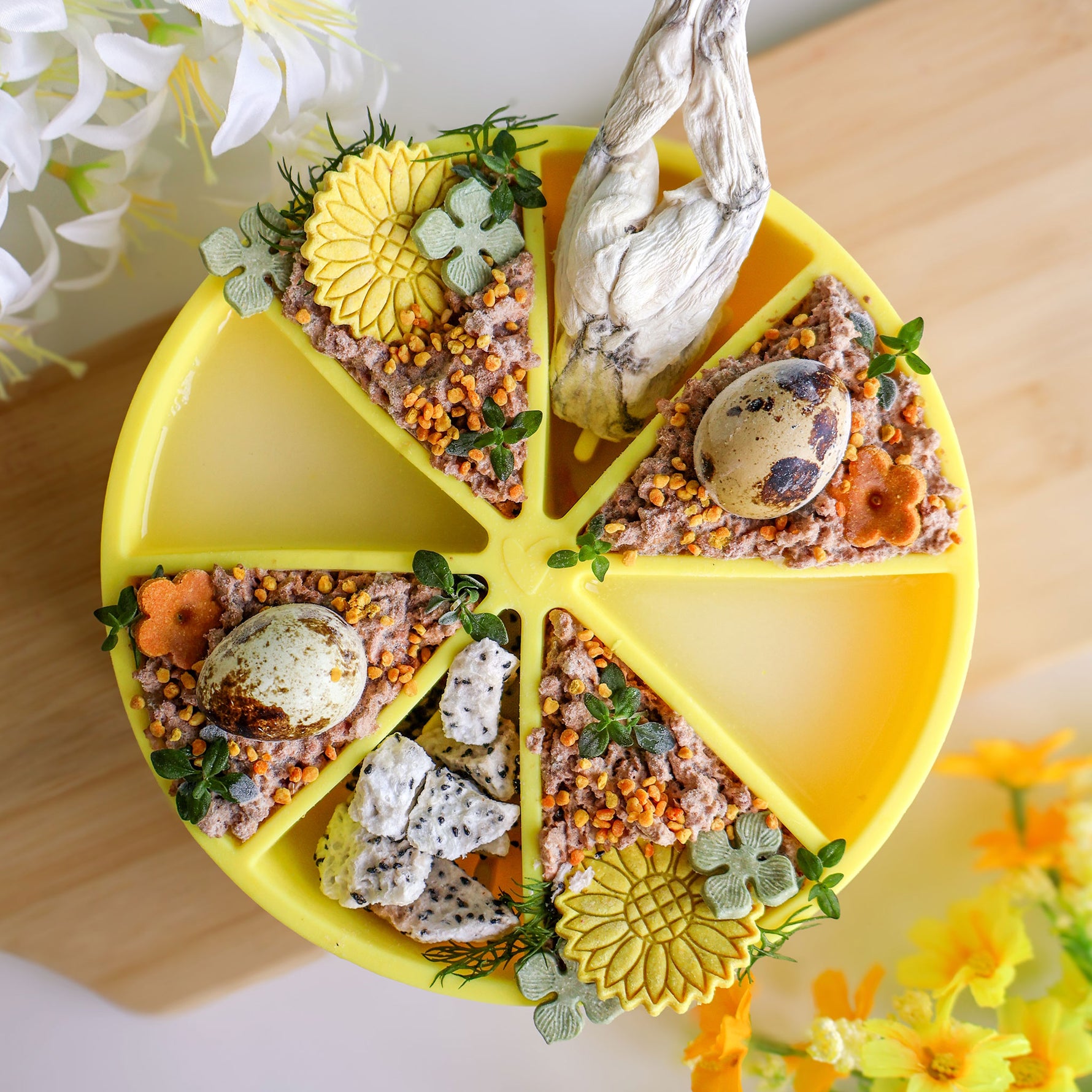 Bol interactif jaune pour chien avec une recette