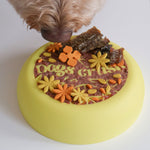 Un goldedoodle qui mange sa nourriture dans un bol interactif minimaliste