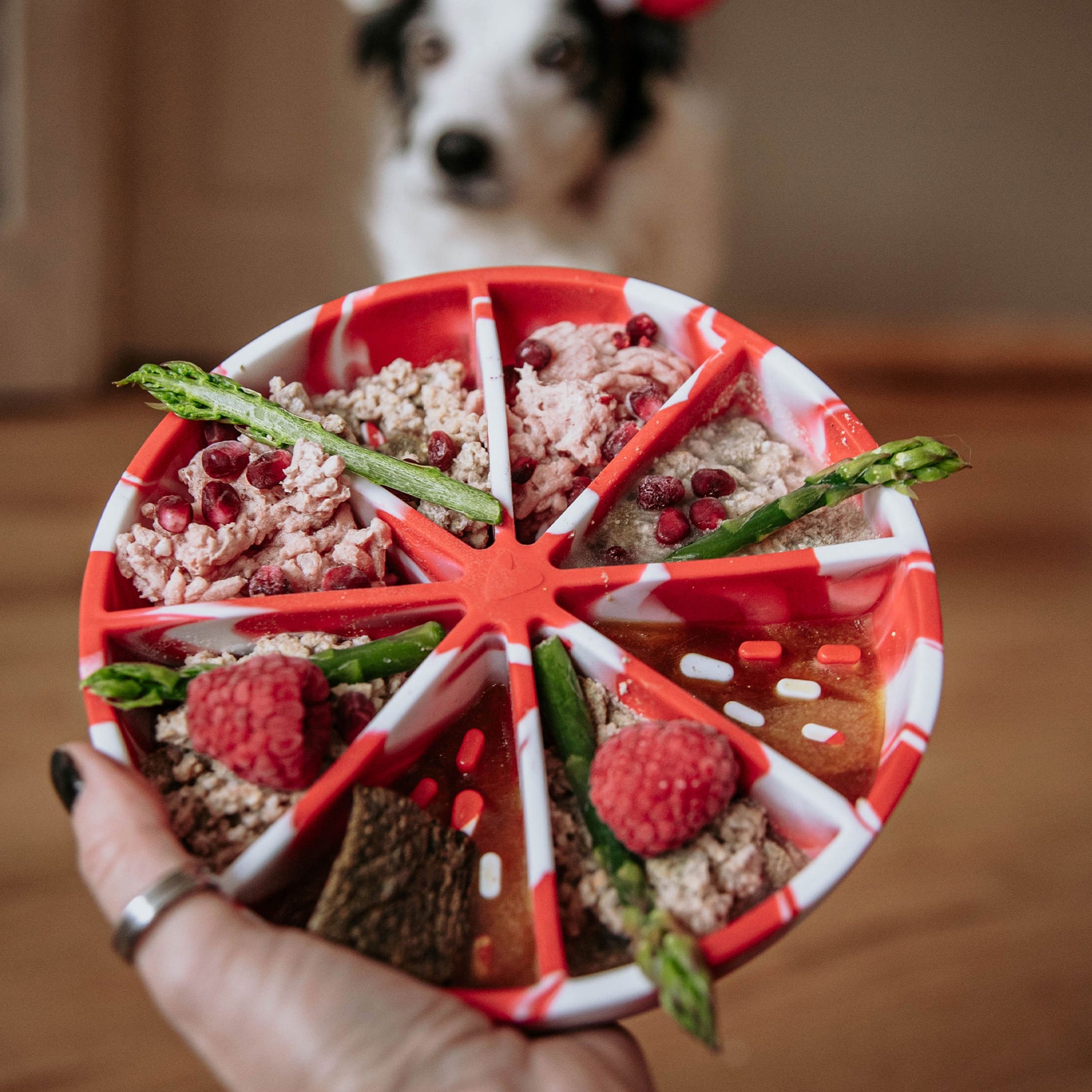 Tapis de léchage Dogs Crush saveur candy avec motifs en relief pour enrichissement canin