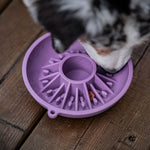Petit bol pour chien, couleur violet