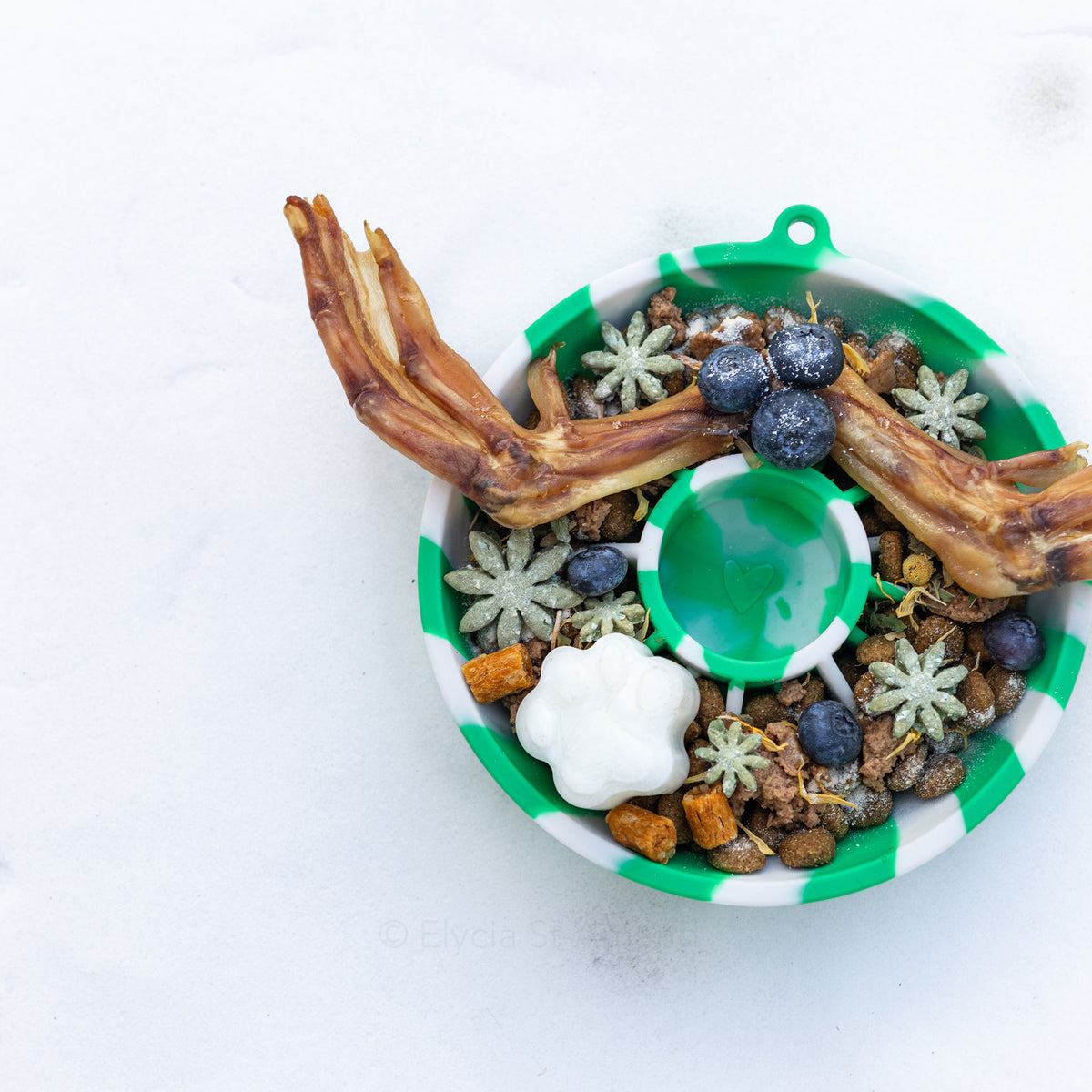 Bol Dogs Crush vert pastel orné d'une spirale décorative pour animaux