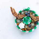 Bol Dogs Crush vert pastel orné d'une spirale décorative pour animaux