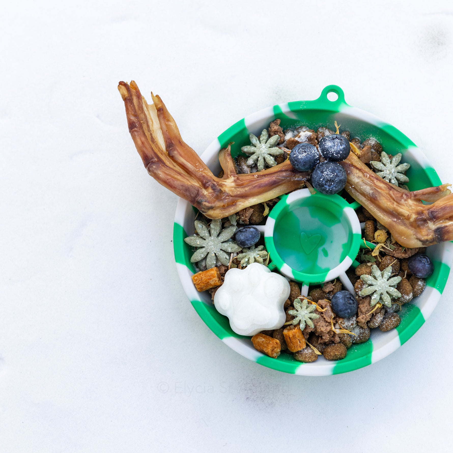 Bol Dogs Crush vert pastel orné d'une spirale décorative pour animaux