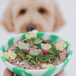 Bol nourriture pour chien vert menthe à motif tourbillon